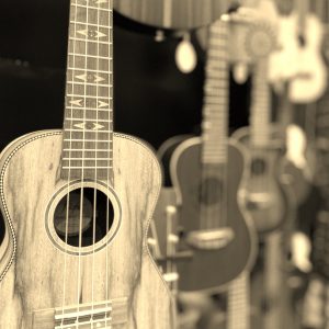 music backstage music store (79)